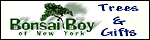 Bonsai Boy of New York